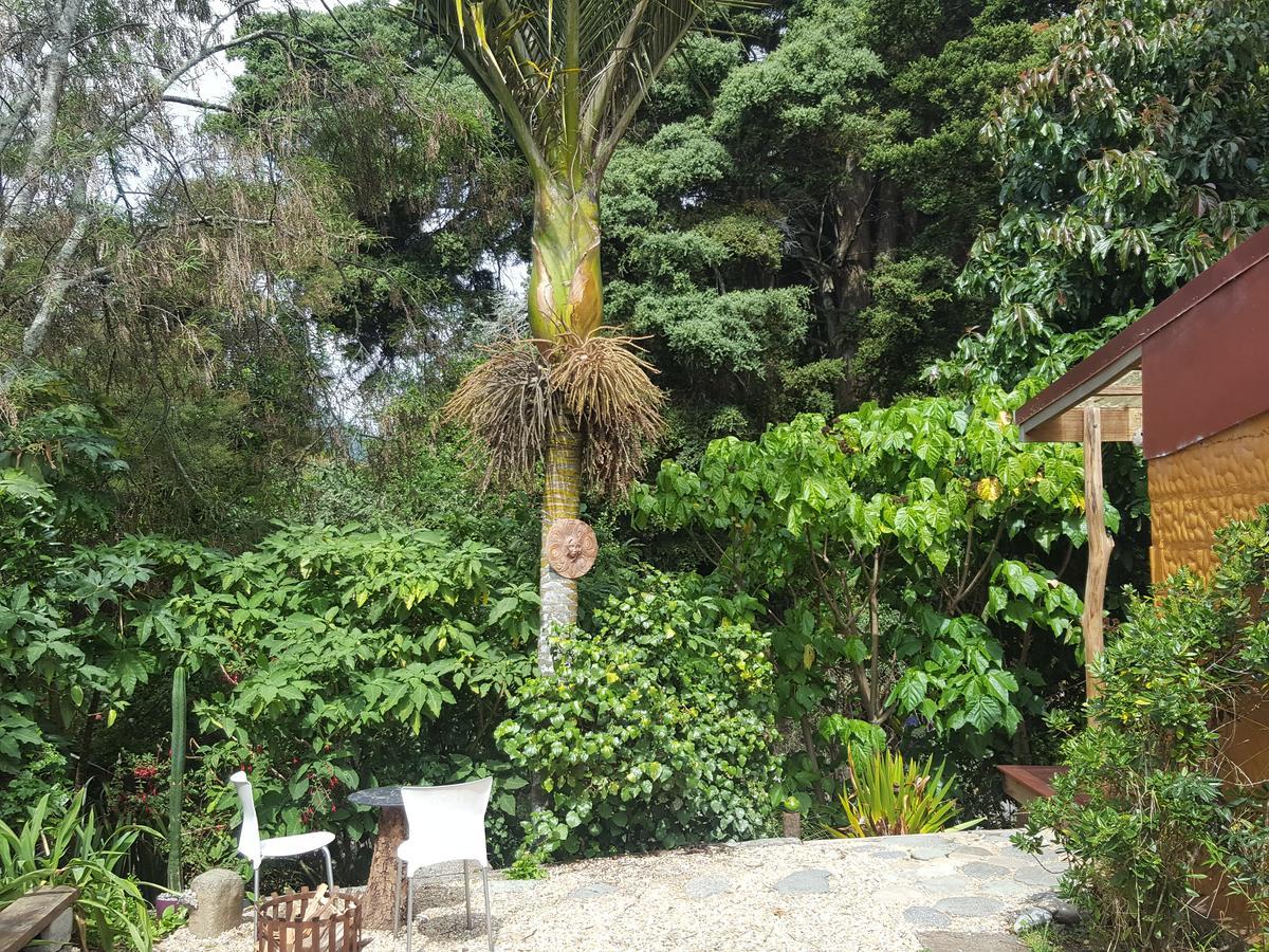 Chalet Karaka Takaka Exterior foto